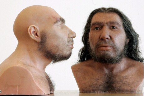 Nova descoberta ajudou a entender cruzamento entre sapiens e neandertais