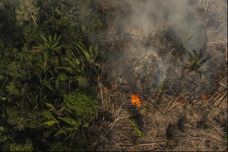 Devastação provocada por incêndio na Floresta Amazônia, em foto de arquivo