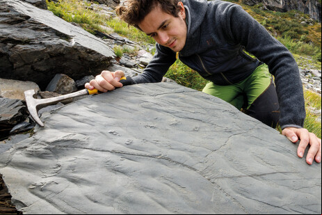 Especialista realiza análise em pegadas pré-históricas encontradas na Valtellina