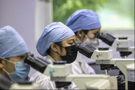 Cientistas chineses da Universidade de Wuhan