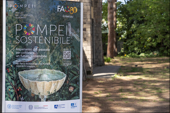 Trajeto contempla por volta de 14 locais do Parque Arqueológico de Pompeia