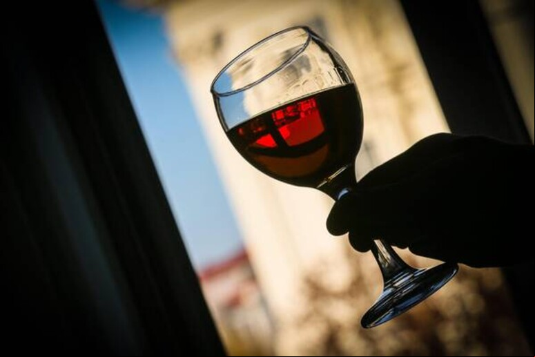 Wine South America 2025 teve início nesta terça em Bento Gonçalves - TODOS OS DIREITOS RESERVADOS