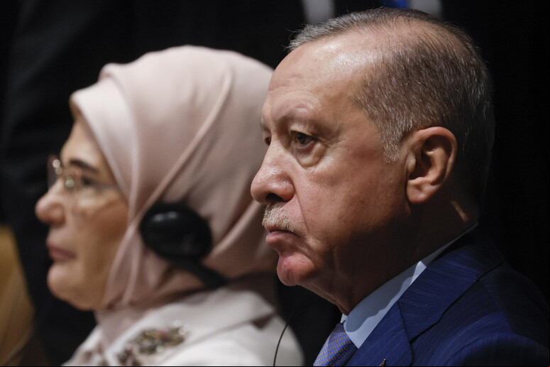 Erdogan declarou  que está determinado a "melhorar o diálogo" com os membros do Brics © ANSA/EPA