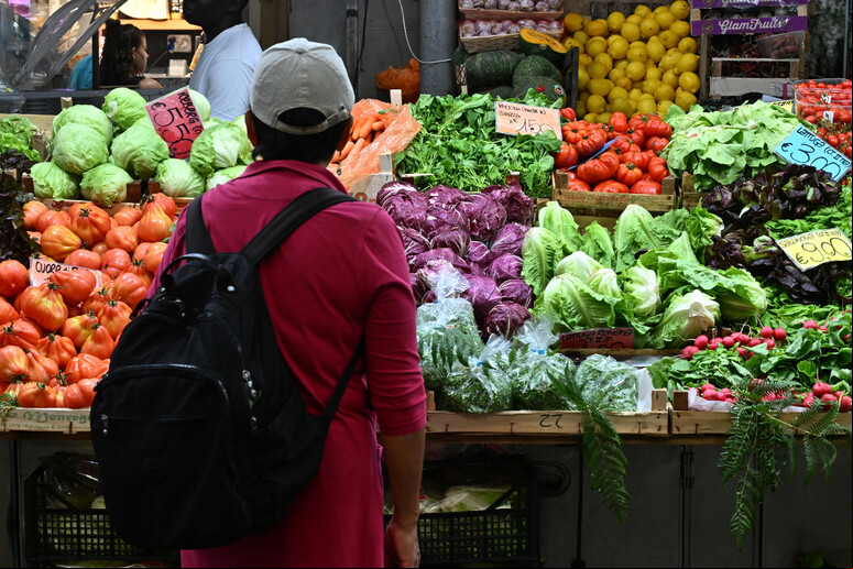 Alimentos não manufaturados contribuíram para desaceleração da inflação - TODOS OS DIREITOS RESERVADOS