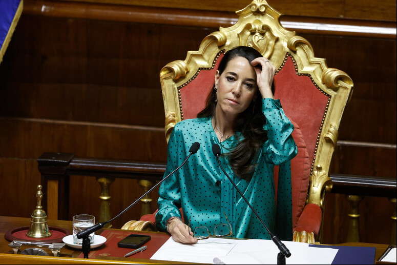 Ronzulli afirmou que  'a segurança alimentar está entre as prioridades da política externa ' - TODOS OS DIREITOS RESERVADOS