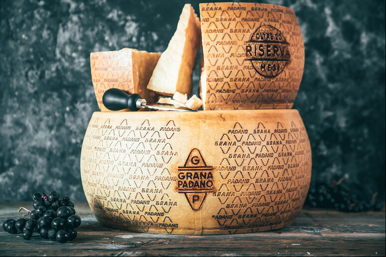 Forma do queijo Grana Padano, ícone do  'made in Italy ' - TODOS OS DIREITOS RESERVADOS