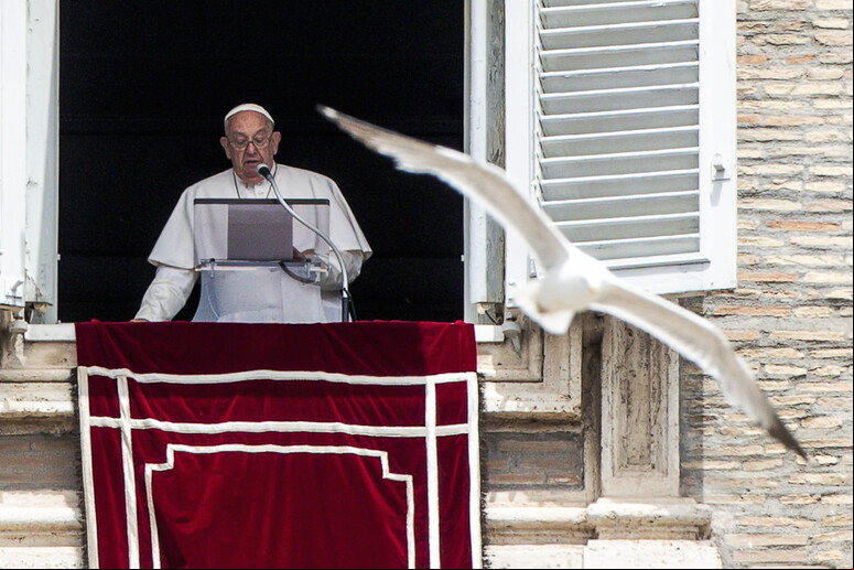 Francisco durante oração do Angelus - TODOS OS DIREITOS RESERVADOS