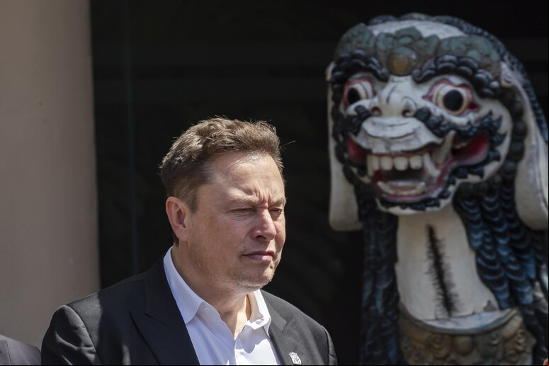 'E ninguém está nem mesmo tentando ass Biden/Kamala ', escreveu Musk no post que foi apagado © ANSA/EPA