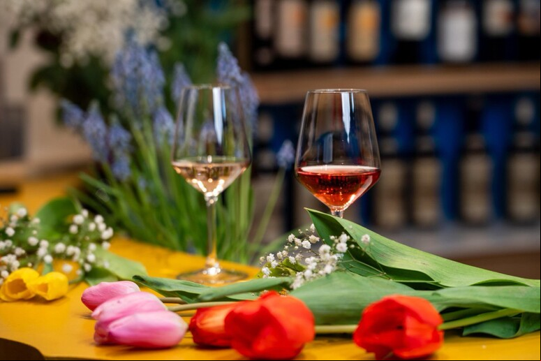 Itália marca grande presença na 5ª Wine South America - TODOS OS DIREITOS RESERVADOS