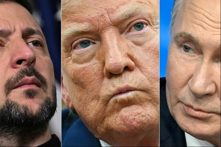 Trump disse que Zelensky e Putin parecem  'crianças brigando no parquinho ' © ANSA/AFP